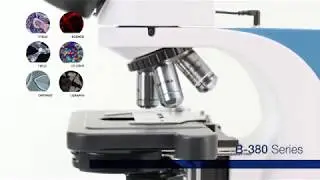 OPTIKA B 380 Eğitim ve Laboratuar Mikroskobu