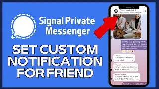 How to Set Custom Notification for Friend in Signal 2024?