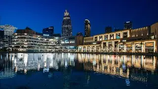 Dubai Mall's Hidden Gems. #dubaimall #dubai #dubaivlog #dubaifacts #dubaimalltour