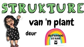 Dele/ Strukture van 'n plant| Leer meer oor die verskillende dele van 'n plant en hul funksies.