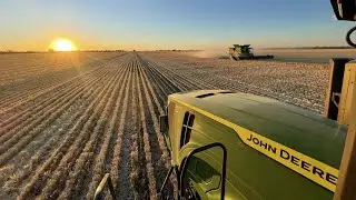 Glencoe harvest 2025 