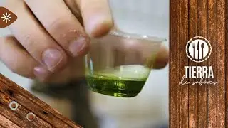 Tierra de sabores | 'Master class' de cata de aceite de variedad royal, endémica de Cazorla