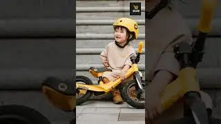 Lightweight Balance Training Bike for Toddlers 2 5 Years &ndash; Adjustable, No Pedal Design in Ultra Cool