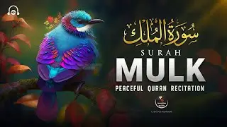 Surah Al-Mulk سورة الملك | Relaxing Quranic Verses for Stress Relief & Restful Sleep #quranforsleep