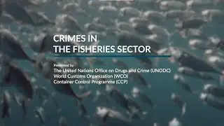 UNODC-WCO-CCP Crimes in the Fisheries Sector