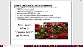 General Characteristic Of Rosaceae Family Plants