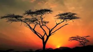 Bréma Diallo - Hakilimaya sara kebediarassi.com