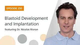 Blastoid Development and Implantation featuring Dr. Nicolas Rivron | The Stem Cell Podcast