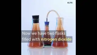 KLYN #AirPurifier Bags : Activated Charcoal Experiment Adsorption Of Nitrogen Dioxide