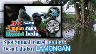 LAMONGAN SURGA PARA PEMANCING | ANGLER SE INDONESIA Pasti pernah mancing ke Lamongan.