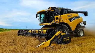 New Holland CR 960 Harvester mit BISO VX 650 CROP Ranger Tisch bei Sommergerste dreschen 2024