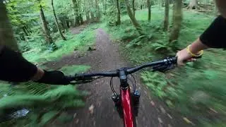 PR run on Old Skool in lennox forest