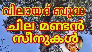 വിലായദ് ബുദ്ധ ഇഷ്ടപ്പെടാത്തത് എന്തുകൊണ്ട്