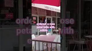Miracle Potion #9 Cafe San Diego #frenchcafe