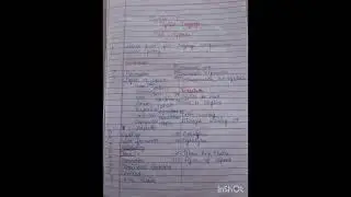 up lt grade english grammar syllabus