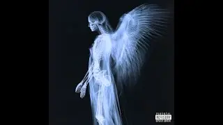 24/7 Angelic Protection 🪽✨