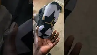 Jordan DMP 6