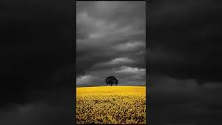 Khamosh Wadiyon Ka Safar 🌿 | A Peaceful AI Nature Song | Suno AI