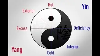LAMP TCM SYNDROMES REVIEW 01: Syndrome Differentiation According to  the Theory of  Eight Principles