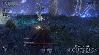 Curseblade & Divine Beast Warrior Boss Fight | Elden Ring Nightreign The Forsaken Hollows DLC
