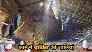 Aaj Farm Ki Safai 🧹 | Spider Web Clean Kiya | Daily Farm Routine | Village Vlog