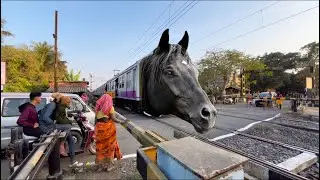 खतरनाक घोड़ा जांगीपुर मेनू एक्सप्रेस की ओर तेजी से बढ़ रहा है, रेलगेट पर देखा गया 