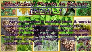 Medicinal Plants in Kerala (INDIA) Part 1