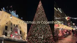 ひとりで満喫するコペンハーゲンのクリスマス