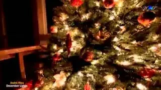 Andr&eacute; Rieu - December Lights