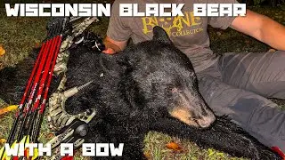 Wisconsin Black Bear Bow Hunt-Late September 2023