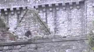 MOV0A3