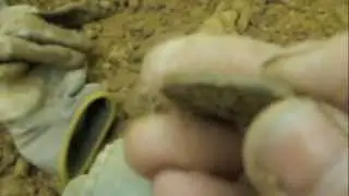 My Olde Site: Coin #27