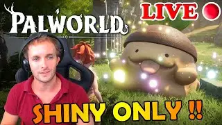 🔴 SHINY ONLY en MULTIJOUEUR avec VOUS !!! - PALWORLD