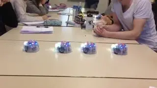 Line dancing beebots