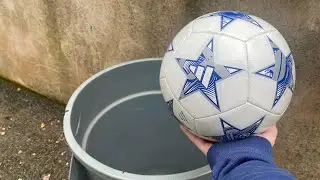Trying To Get The Ball In The Bucket Challenge