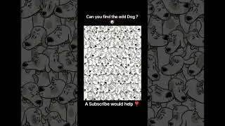 Find the odd Dog🐕#puzzles #dailypuzzles #trendingshorts #viralshorts #trending #viral #funny #iqtest