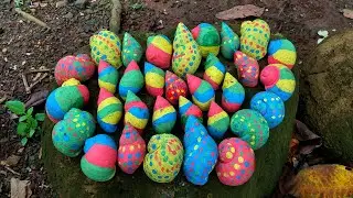 Berburu Bekicot jumbo dan fosil siput warna-warni jumbo 😱🌈 #siput #bekicot #animals 