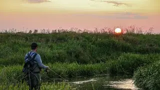 Hav&oslash;rred Fiskeri I Karup &Aring; | Trailer 