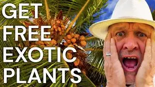 Want Free Tropical Cold Hardy Plants? This is How to Get Them