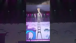 ✨ Experience the world-renowned Chaoyang Theatre Acrobatic Show in Beijing! 🇨🇳