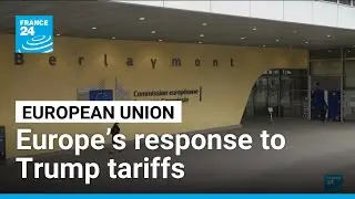 How EU countries are responding  to Trump&rsquo;s global tariff increases &bull; FRANCE 24 English