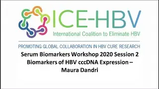 ICE-HBV Serum Biomarkers Workshop - Biomakers of HBV cccDNA Expression