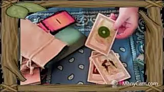 My New Zealand Tarot & Oracle Decks