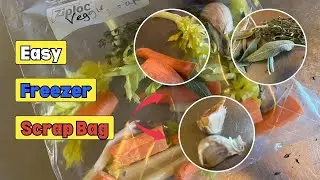 Save Food, Save Money with these Easy Freezer Scrap Bags!