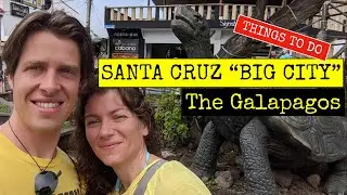 Santa Cruz | Travel to Gal&aacute;pagos Islands - Things to do Puerto Ayora 2021