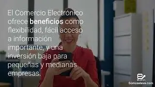 Todo lo que necesitas saber sobre el E commerce