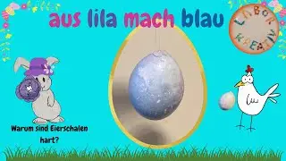Kinder f&auml;rben nat&uuml;rlich Eierf&auml;rben (ausgeblasen o. hartgekocht)  mit Rotkohl-Wasser und WC-Papier