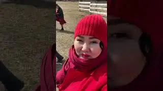 11 мая 2024 г.