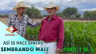LA MILPA VA HERMOSA otro éxito de Don José