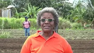 Choiseul Farmers Now Trained in Modern Tillage